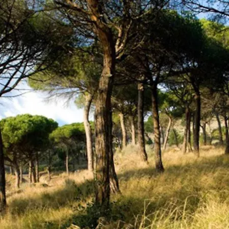 Ca Landreu Ecoturisme Villa *